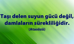 tasi delen suyun 1