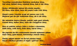 tecellayi cemalinden
