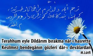 terahhum eyle dildarim 2