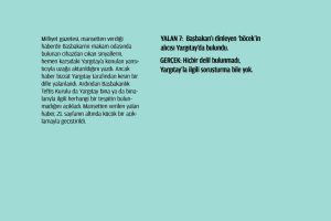 yalan017