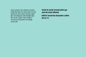 yalan019