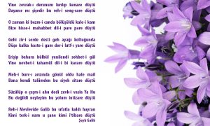 yine zevraki derunum