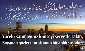 yucelir sanmayiniz